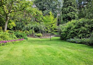Optimiser l'expérience du jardin à Villiers-aux-Corneilles